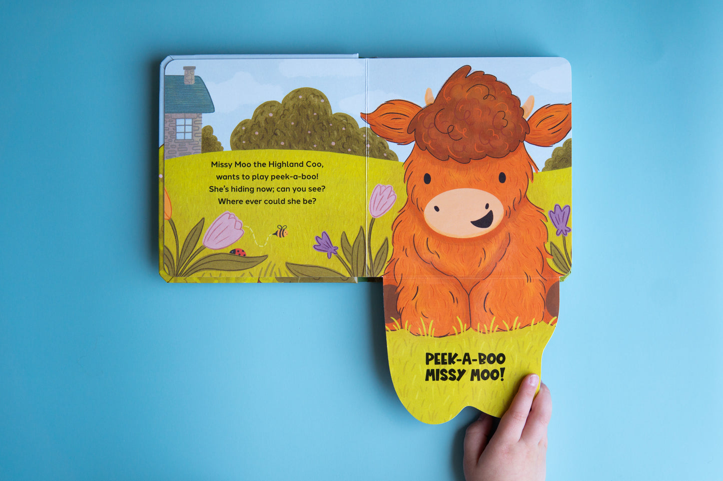 Peek-a-Boo Missy Moo | Lift-the-Flap Board Book