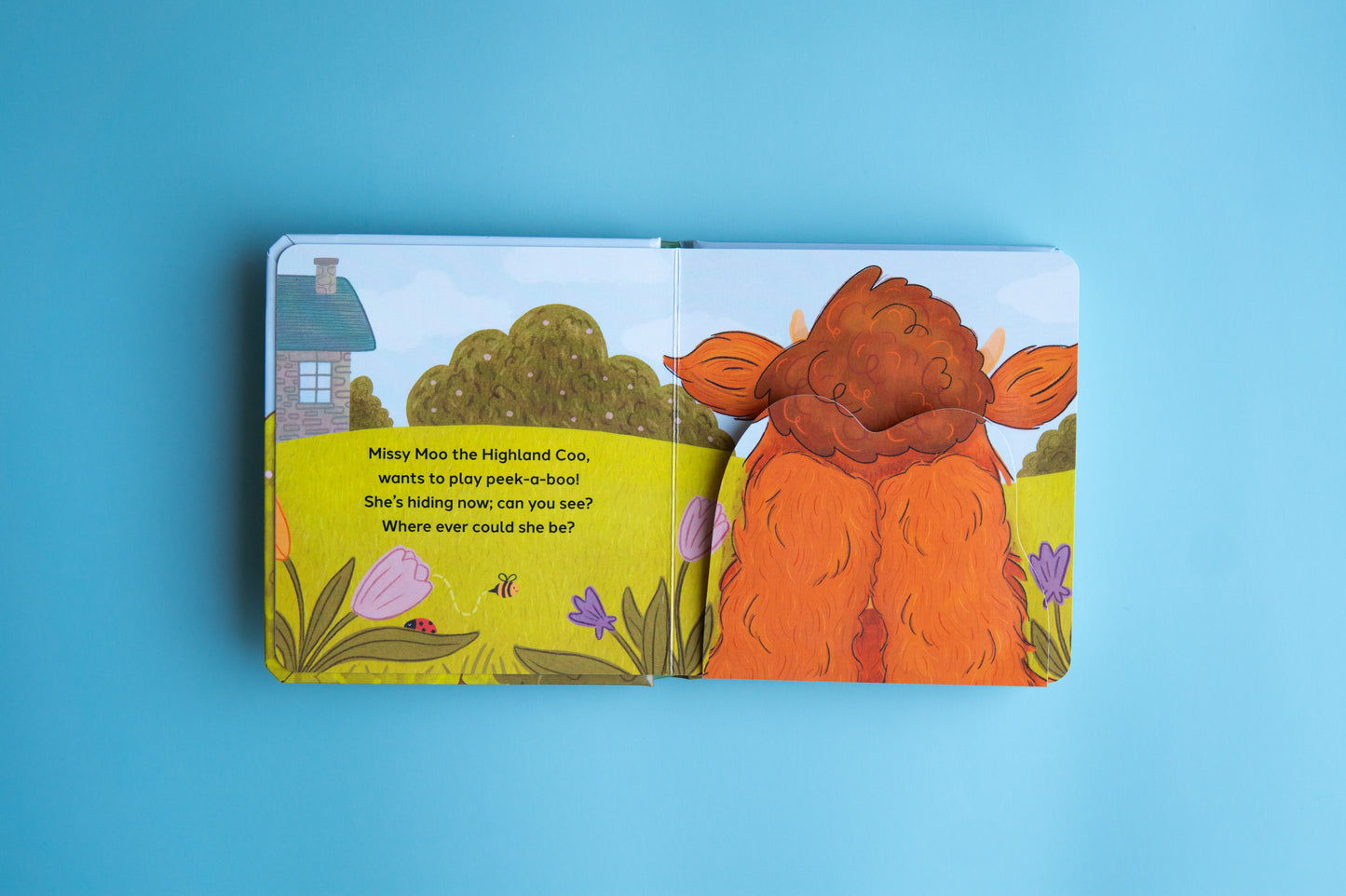 Peek-a-Boo Missy Moo | Lift-the-Flap Board Book